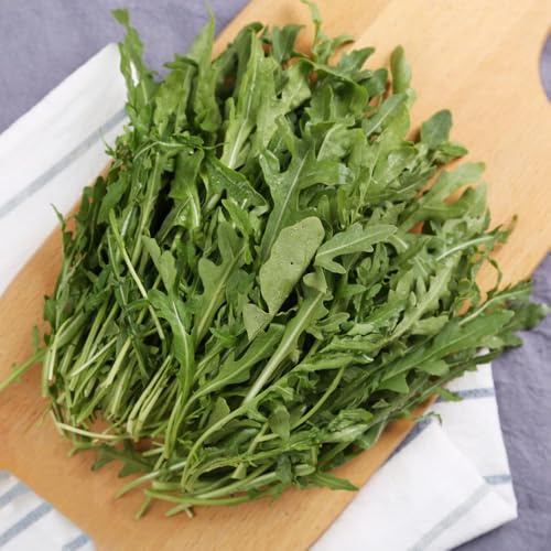 semi di rucola giardino balcone interno biologico 500pcs