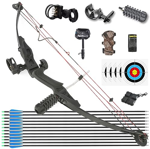 HNZMDY Arco Compound e Frecce set per Giovani e Adulti Principianti 30 lb con Mano Destra con Tutti Gli Accessori 24,8 Draw Length, IBO 130 FPS (Tipo 2:Arco Set)