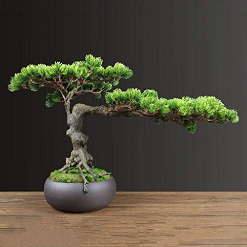 XXXXW Handmade Simulation Welcoming Pine Artificial Tree Artificial Bonsai Green Plant Potted Plant Indoor New Chinese Style Living Room Coffee Table Decoration Ornaments Fake Plant