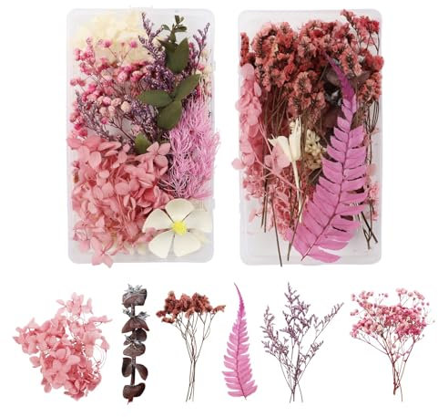 2 Pezzi Fiori Secchi Decorativi,Fiori Secchi per Resina Pressa per Fiori Fiorellini Finti per Decorazioni Fiori Pressati per Fai da Te Scrapbooking Candele Decorazione(Rosa Rossa)