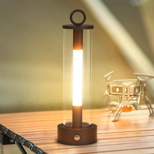 DESGNT LED Tischlampe Outdoor,Tischleuchte kabellos Akku,Tischleuchte Dimmbar USB aufladbar,2500K Outdoor IP54 wasserdicht Tischlampe für Innen Außen Terrasse Camping und Garten dekoration(Schwarz)
