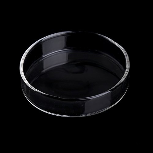 antianzhizhuang Aquarium Fish For Tank Acrylic Shrimp Feeding Dish Bowl Feeder Tray Contain Aquarium Heater Light Thermometers Gravel Sand Decorations Filter Fish Tank Filter Decorations Air