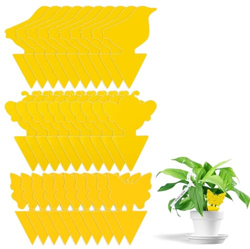 Trampas Adhesivas, 60Pcs Trampa Moscas Fruta, Atrapa Moscas de Doble Cara Papeles, Adhesivo Amarillos Trampa Moscas de Interior para Plantas en Macetas de Jardín