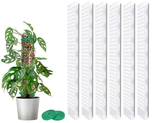 MIXC Moosstab Rankhilfe 6 Stück 61cm Pflanzstab Plastik Pflanzenstütze für Monstera Kletterpflanzen Zimmerpflanzen mit 3m Pflanzenbänder Klett