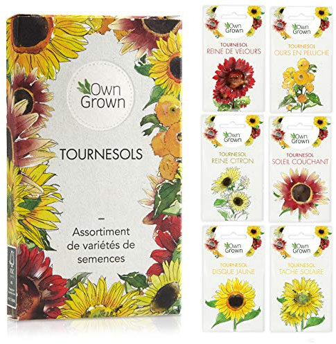 OwnGrown - Kit de Graines de Tournesol et de Fleurs d'Extérieur - Set de Jardinage de Qualité Supérieure