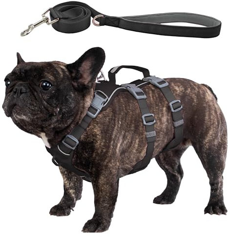 Wuffley Hundegeschirr mit Leine, Sicherheitsgeschirr Hund Ausbruchsicher, Anti Zug Hundegeschirr mit Assistenzgriff und Reflektierende, Leichtes Verstellbare Geschirr für Mittelgroße Hunde(Schwarz,M)