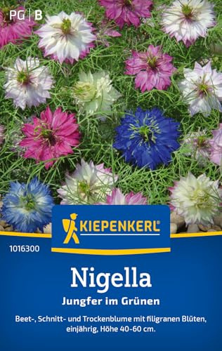 Kiepenkerl Nigellasamen Jungfer im Grünen 1016300, Blumensaat | Blumensamen für eine Beet, Schnitt- und Trockenblume, Blumenwiese, Höhe 40-60 cm, Blüten in Blau
