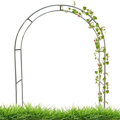 Arche de jardin avec cadre en acier - Treillage de 1,8 m de haut - Construction en métal robuste pour plantes grimpantes - Décoration d'arche de mariage - Noir