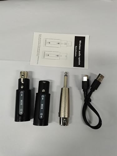 Microfono Wireless 2.4GHz con Trasmettitore e Ricevitore XLR Ricaricabile, Microfono Dinamico Portatile - Connessione Stabile, Effetti di Guadagno Integrati, Adatto per