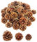 Lifreer 30 conos de pino secos naturales para Navidad, piñas para árbol de Navidad, decoración colgante, manualidades, marrón, 3 tamaños