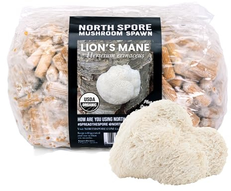 North Spore Löwenmähne Pilzstopfen für Holzscheite (500 Stück) | Premium-Qualität Pilzstecker Spawn | handgefertigt in Maine, USA | Grow Gourmet-Pilze im Freien auf Holzscheiten