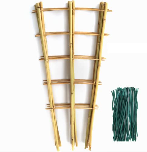 SWANGSA Bambus-Spalier 61 cm für Kletterpflanzen, fächerförmiges Bambus-Pflanzen-Rankgitter Gurken, Tomaten, Rankgitter mit 50 Drehbändern für Topfpflanzen im Innen- und Außenbereich