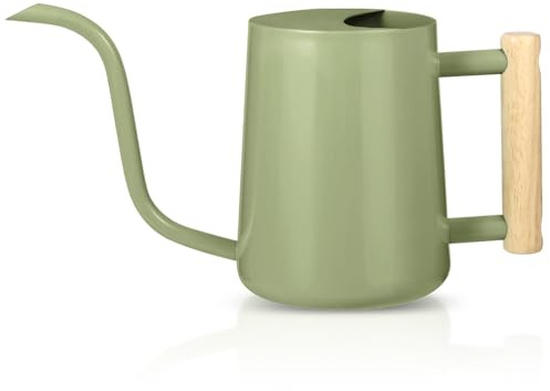 Watering Can Indoor Plants, 35oz Small Watering Can Stainless Steel Metal Watering Cans Modern Decorative Watering Pot with Long Spout for Indoor House Plant Bonsai Outdoor Garden Flowers -Sage