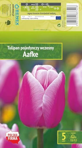 AGRONOM | TULIPANI – AAFKE | Bulbi da Fiore Perenniali | Rosa Fiori| Piantati in Giardini Fioriti, in Prati Fioriti | I Meravigliosi Fiori | Bulbi di Tulipano | 5 Bulbi
