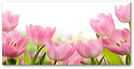 Tulup Glass Picture Wall Art - 100x50cm - Tempered Glass Decoration - Print for Living room Bedroom - Toughened Glass Image - Glass picture Wall Art - Pink tulips