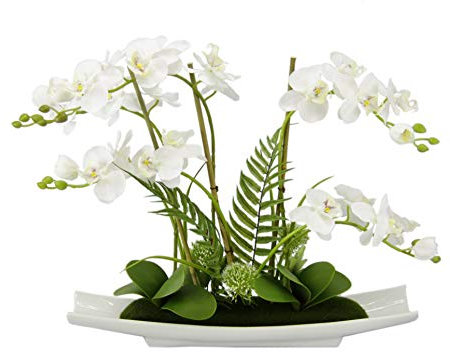 Kunstblume Schmetterling Orchidee 50cm mit Blätter und Luftwurzeln in Schale aus Keramik Künstliche Blume Kunstorchidee Phalaenopsis Kunstpflanze Hochzeit Deko Seidenblume Real Touch Blüte