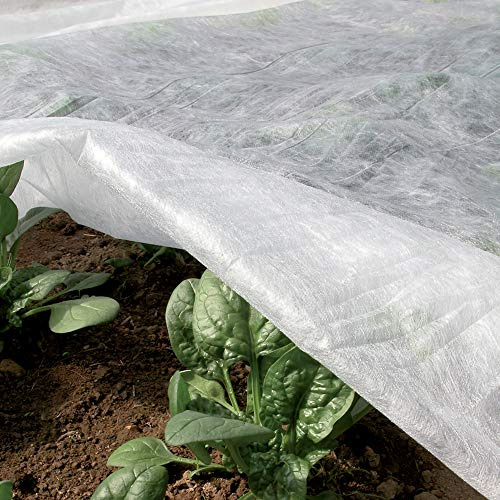 Tenax Ortoclima Plus 1,60x500 m Blanc, Voile d'Hivernage pour Plantes et Cultures, en Tissu Non Tissé 30 g/m², Protège Les Plantes, Fleurs et Légumes du Froid, du Gel et du Vent