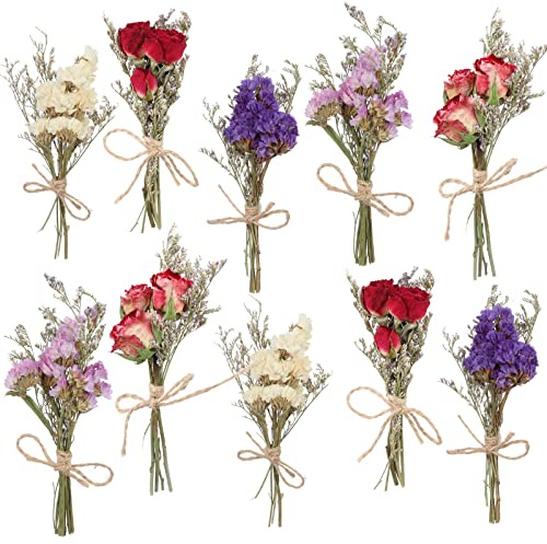10 Pack Dried Flower Bouquets Mini Dried Flower with Stem Forget Me Not Dried Embossing Natural Flower Bundles Artificial Flower Dried Floral Arrangement for Vase DlY Wedding Decor (Forget Me Not)