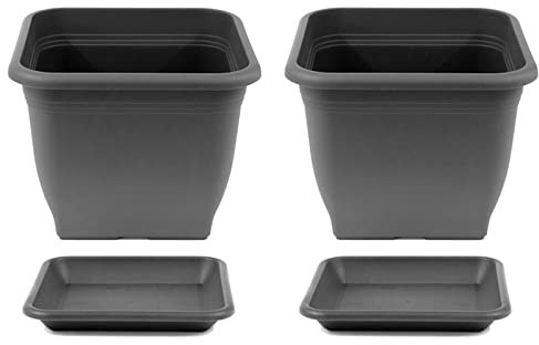 HAC24 2X Pflanztopf 19 x 19 cm Kunststoff incl. Untersetzer Eckig Anthrazit Pflanzkübel Pflanzuntersetzer Blumentopf Blumenkübel Pflanzcontainer
