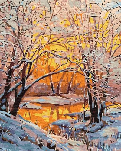 Artnapi Malen nach Zahlen Erwachsene mit Rahmen | DIY Handgemalt | Goldener Winterwald | Kit für Anfänger und Erwachsene | Set inklusive Acrylfarben & Pinsel | 40x50cm Leinwand | Ideal als Geschenk