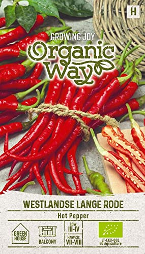 Organic Way | RODE WESTLANDSE LANGE AU PIMENT PIQUANT des Graines | Graines de Légumes | Graines de Plantes | Graines de Jardin | 1 Paquet