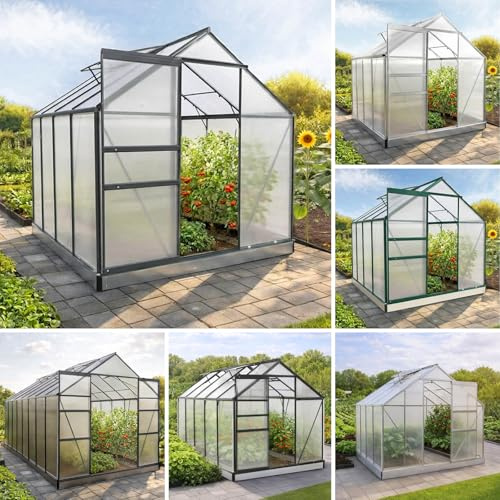 BRAST Gewächshaus Aluminium mit Fundament | 42 Modelle | 130x190x195cm - 490x250x235cm | TÜV geprüft | 6mm Hohlkammerplatten | rostfrei wetterfest temperaturbeständig | 250x190x195cm Grau