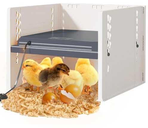 Chick Brooder Heating Plate, 10 x 10 Adjustable Height and Angle Chick Incubator Heating Lamp, Constant Temperature Chicken Coop on Three Sides, Easy Clean 25W Brooder Plate For 15 Chicks (Black)
