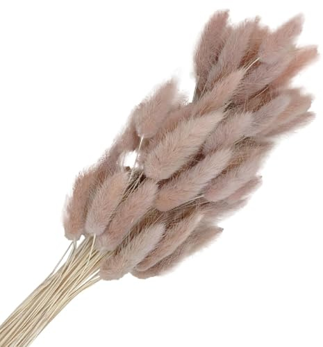 FUYTSUO 50 Stück Trockenblumen Klein Pampasgras, 43 cm Hasenschwanzgras Getrocknet Pampasgras Deko, Pampas Gras Trockenblumen Klein Pampas Gras für Deko Wohnzimmer Hochzeit (Grau)
