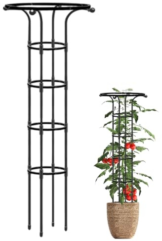 Traliccio da Giardino per Piante Rampicanti, Traliccio per Rose a Forma di Ombrello da 61 Pollici, Obelisco da Giardino Verticale in Metallo Antiruggine per EsterniGiardino per Piante Rampicanti
