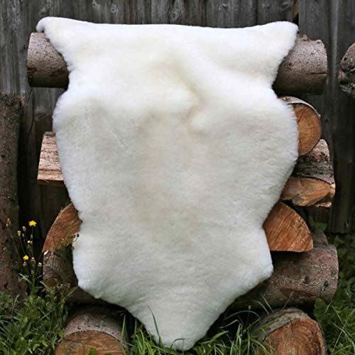 Hollert Lammfell Champagner kurzhaar 120-130 cm echtes Merino Schaffell Wollhöhe 3-4 cm kuschelig weich Teppich ökologische Gerbung von Deutschen Schäfereien Naturform Dekofell