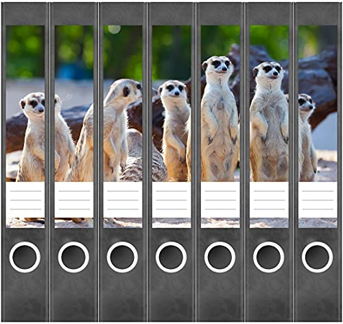 Etiketten für Ordner | Erdmännchen | 7 Aufkleber für schmale Ordnerrücken | Selbstklebende Design Ordneretiketten Rückenschilder