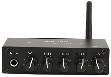 RASTKY Mixer Karaoke 6.5mm Karaoke Mixer Aluminium Legering Dubbel Mikrofon Ingång Bärbar Digital Reverberator Dj Musik Scen KTv Trådlös