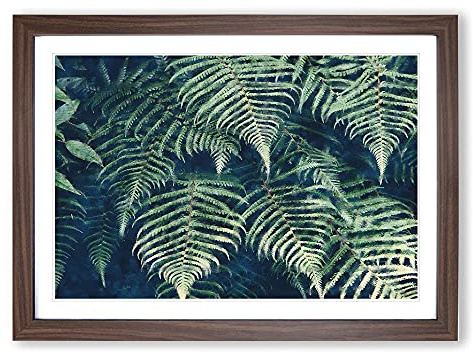 Fern Leaves Vol.1 Painting Framed Print | A2 Walnut Framed Wall Art | Ready to Hang | Modern Floral Picture | Living Room Bedroom Lounge Office