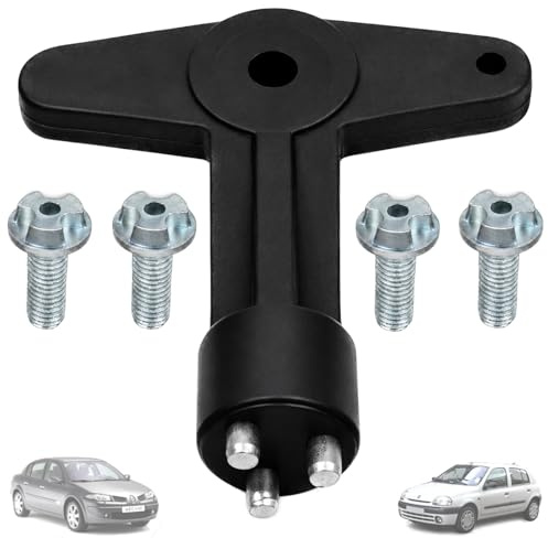 Twowinds Radkappen Schlüssel + 4 Schrauben Kompatibel mit Renault Clio | Kompatibel mit Renault Clio 3 (2005–2025) und Grandtour-Versionen, Megane (1995–2009), Scenic (1995–2003)