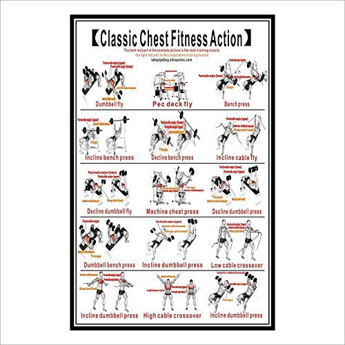 Ling88 Bilder,Poster,Kunstdrucke,Brust Hantel Workout Übung Poster ， Krafttraining Diagramm - Home Gym Gewichtheben Routine ， Bodybuilding Guide Guide Fitness Übung Wandbilder-60X80Cm