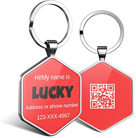 DISONTAG Hundemarke Personalisiert mit QR Code,32 mm 2 Seiten Dog Id Tag mit SchlüSselring für Hundehalsband,Leichter zu Lesen als Gravur– Online|Modifizierbar|Colourful(Hexagon)
