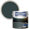 Johnstone's Feature Colours Paint, Ivy Sky, Matt Finish, 35m2 Coverage per Tin, 2.5L, Green