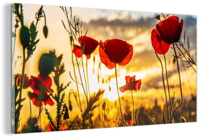 MuchoWow Glasbild Glasfoto Wandbild Bilder Deko 120x60 cm Rote Mohnblumen bei Sonnenaufgang