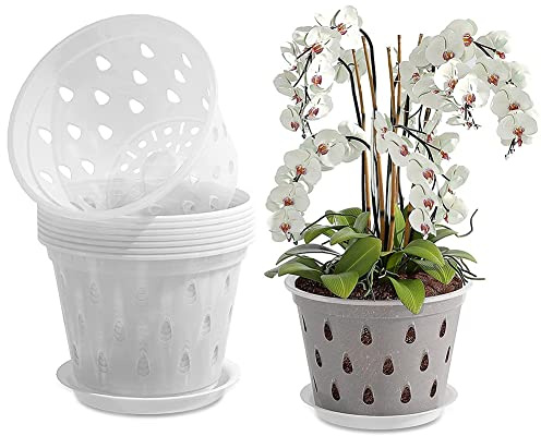 URPIZY Pots à orchidées transparents, pots à orchidées en plastique avec soucoupes, pots de fleurs de 12,7 cm avec drainages, pots à fentes respirants pour orchidées, rempotage de pépinière, 1 pièce