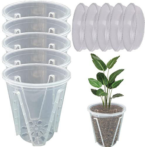 Macetas para orquídeas con agujeros, 5 macetas transparentes para vivero de orquídeas con drenaje lateral e inferior, macetas redondas para orquídeas y plantas de serpiente