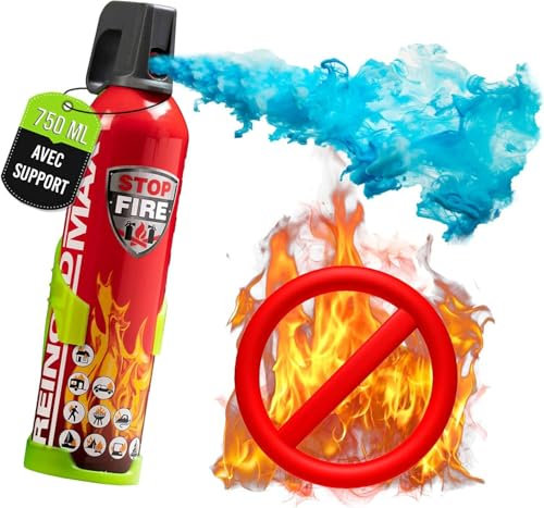 ReinoldMax Pequeño extintor de coche, mini extintor de barco, extintor de caravana, extintor eléctrico, mini extintor de barbacoa, Aerosol 5 en 1 para todos los fuegos, extintor comercial, 750ml