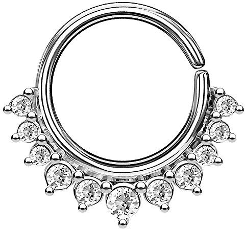 Piercingfaktor Piercing Continuous Vintage Kristall Ring Ohr Nase Lippe Brust Intim Septum Helix Hufeisen Horseshoe