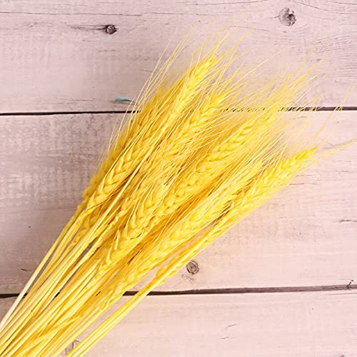 YIWOYI Natürliche getrocknete Lagurus Ovatus, Kaninchenschwanz, Gras, Weizen, Lagurus Ovatus, natürliche Trockenblumen, bunte Hochzeits-, Heim- und Weihnachtsdekorationen (MS01, 50 Stück, gelb, ca.