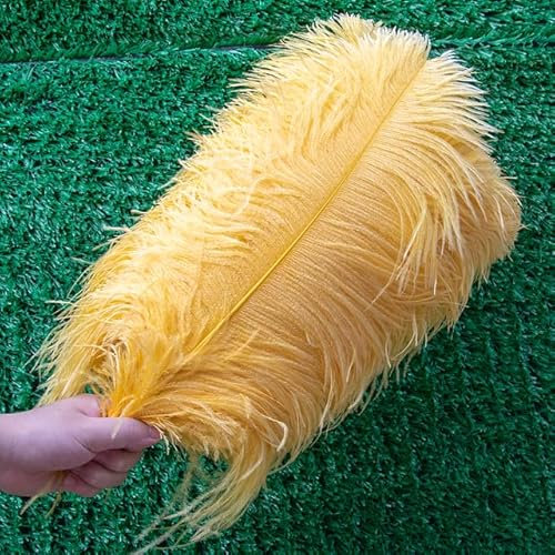 Leder Rosa Straußenfedern 10-20 '' Dekor für Handwerk Hochzeit Party Zuhause Karneval Handwerk Federn Zubehör 10 Stück Großhandel-Goldenes Gelb, 25-30 cm