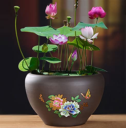 Übertopf, Blumentopf, dekorativ, lila Sand, großer Lotustopf, Lotus-Keramik, Hydrokultur, Kupfer, Geld, Gras, Topf ohne Löcher, Innen- oder Außen-Bonsai-Dekoration (Größe: 139 cm) (mehrfarbig, lila 1