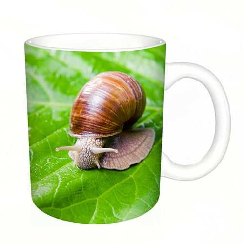 KDWJS Tasse Keramik Kaffeetassen Große 11oz Tassen 330ml Trinkgläser Mit Griff Personalisierte Geschenk Weiß,Rutschiger Schleim im Freien Schnecke langsam Essen Blätter Tiere Wildlife Shell