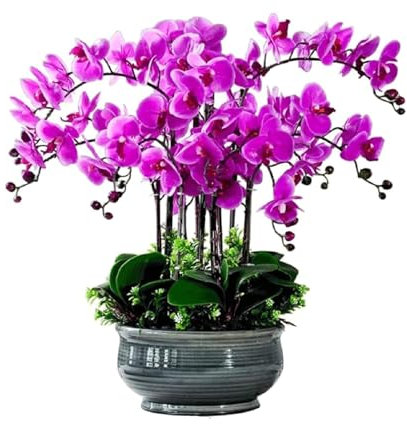 SdaryWare Orchidée Artificielle 60 cm, Fleurs artificielles avec Vase en céramique, Fausses Fleurs de phalaenopsis en Pot pour la décoration intérieure, Fausses Fleurs