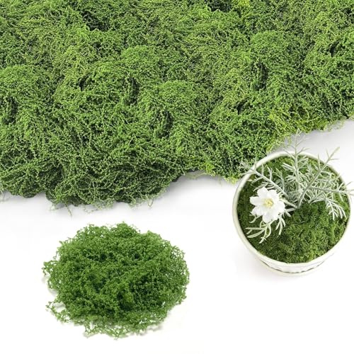 Jiaoshou Pan 200g Musgo Artificial para Decorar, Musgo Falso Vegetal, Lavable sin Pelusa, para Manualidades, Pesebre, Decoración de Pared, Acuario (200g Verde Oscuro)