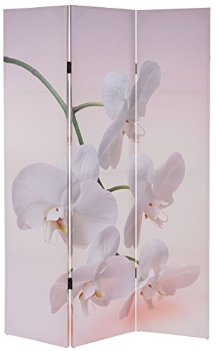 Mendler Foto-Paravent T233AM 180x120cm - Orchidee | Paravent, Trennwand, FSC-Zertifiziert