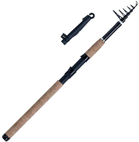 WFT XK Bone Tele 2,70m 5-30g